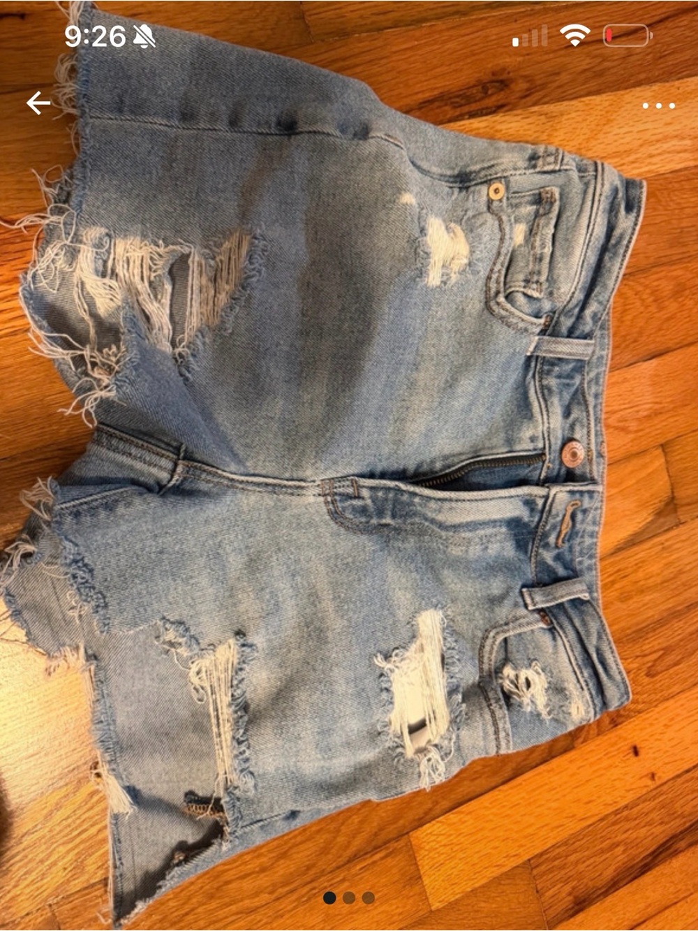 American Eagle Outfitters Distressed Light Blue Denim Cutoff Shorts